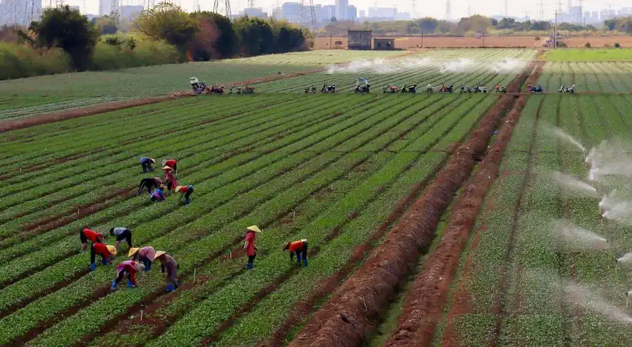You are currently viewing Modern innovations in the traditional scythe: contributing to the future of sustainable agriculture