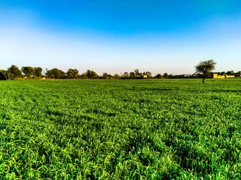 Read more about the article Gender revolution on the scythe: the overlooked $7 billion market for women in agriculture