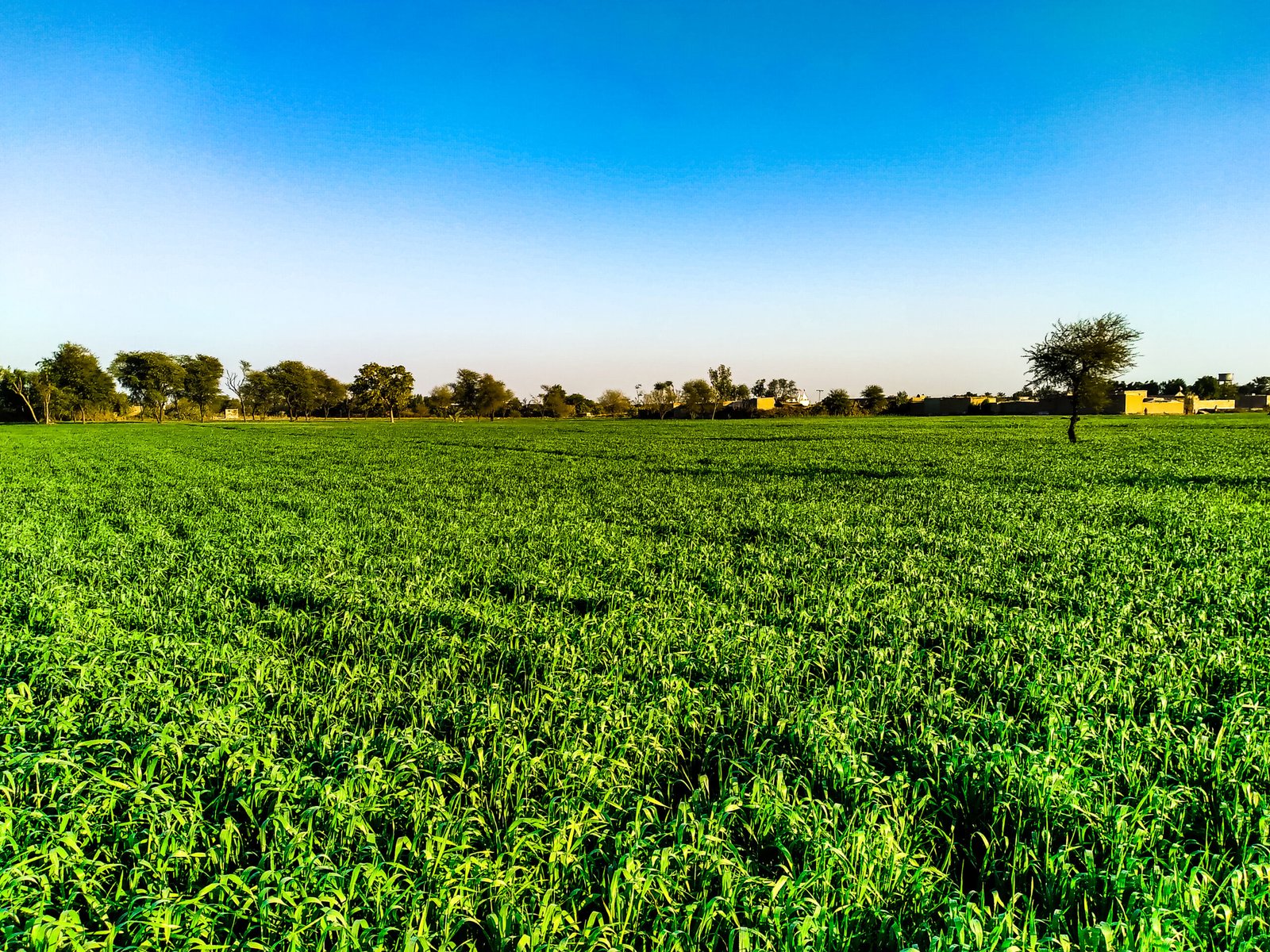 You are currently viewing Gender revolution on the scythe: the overlooked $7 billion market for women in agriculture